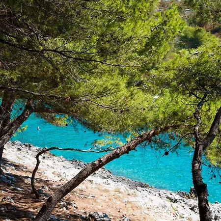Nyaraló Salum Trogir